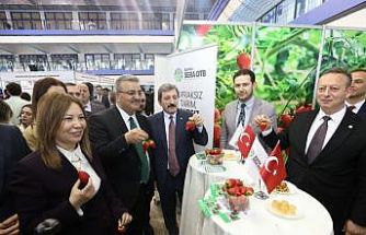 Bafra standına yoğun ilgi