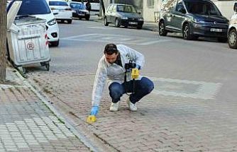 Bafra’da "kız meselesi" kavgası: 1 yaralı