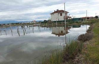 Balıkesir’de nisan yağmurları zeytincileri sevindirdi