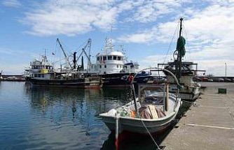 Balıkta bereketli sezon: "Halk bu yıl balığa doydu"