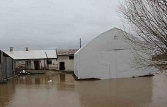 Baraj taştı, köy tamamen sular altında kaldı