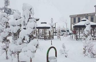 Başkale’de kar yağışı