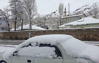 Başkale’de nisan ayında kar yağışı