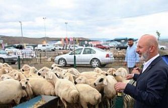 Başkan Çolakbayrakdar: "Kurban hizmetinde öncü, Türkiye’de sayılı belediyeyiz"