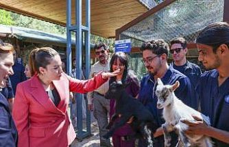 Başkan Vekili Büşra Özdemir: "Veteriner hekimlerin üstlendikleri sorumluluk çok kıymetli"