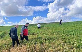 Batman’da çiftçilere ’yanlış ilaçlama’ uyarısı