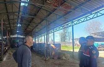 Bilecik’te 120 vatandaşa hayvan hırsızlığı ve dolandırıcılık bilgilendirmesi