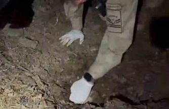 Bilezikler için anneyi ve oğlunu öldüren katil morga gidip, olayı gerçekleştirenleri gördüğünü söylemiş