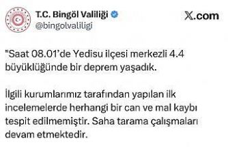 Bingöl Valiliği: "Saha tarama çalışmaları devam etmektedir"