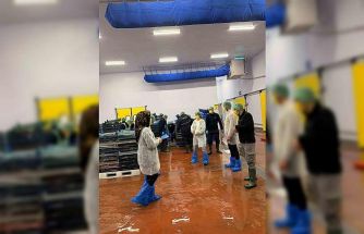 Bingöl’de balık işleme tesisleri denetlendi