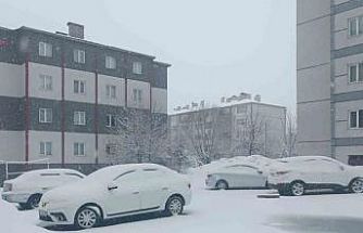 Bitlis nisan ayında yeniden beyaza büründü