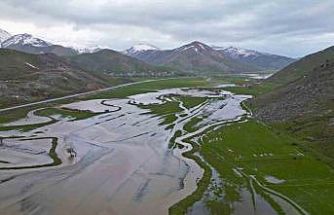 Bitlis’teki Güzeldere Menderesleri adeta doğal göl oldu