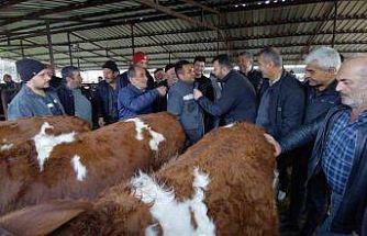 Bolu’da kurban pazarlarında hareketlilik başladı