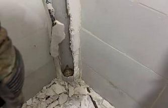 Boruda mahsur kalan kedi duvar kırılarak kurtarıldı