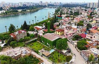 Botanik bahçeyi andıran cami, yeniden sarmaşıklarına kavuştu