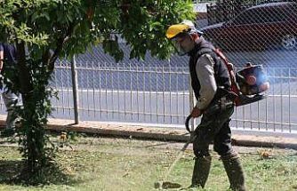 Bozdoğan’da çevre düzenleme çalışmaları sürüyor