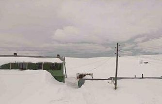 Bülbülan Yaylası’nda evler kara gömüldü