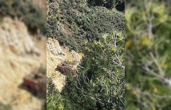 Buldan’da tartışmalı maden sahasında ağaç kesimi başladı