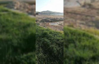 Burhaniye’de denize akan pis sular tepkiye neden oldu