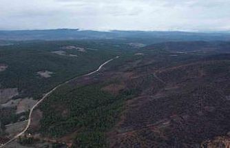 Bursa’da tarihin en büyük orman yangınında yaralar böyle sarıldı