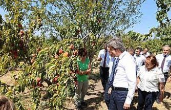 BUÜ, ziraat ve ormancılık alanında dünyada ilk 500’de