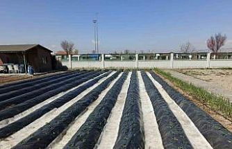 Büyükşehirin Doğal Ürünler Bahçesi ve Pazarı’nda yeni sezon hazırlığı