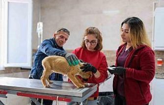 Can dostlar için Menemen’de rekor tedavi sayısına ulaşıldı