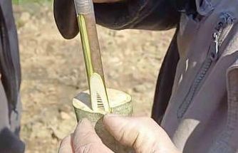 Çanakkale’de ‘Aşı Akademisi’