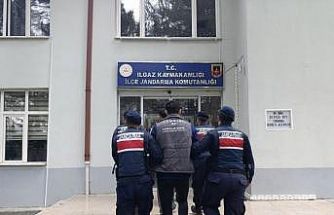 Çankırı’da büyükbaş hayvan çalan şahıslar tutuklandı