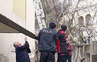 Çatı katında mahsur kalan kediyi polis ve itfaiye kurtardı