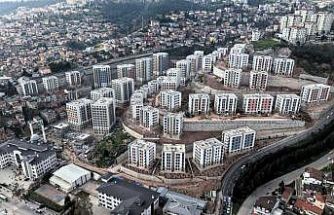 Cedit Kentsel Dönüşüm Projesi’nde çevre düzenlemesi devam ediyor