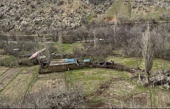 Cevizli köyü sakinlerinden yol talebi