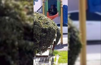 Çocuk parkı içinde sigara içen çocuklar kamerada