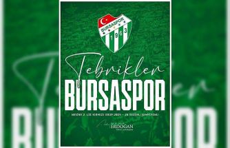 Cumhurbaşkanı Erdoğan’dan Bursaspor’a tebrik mesajı