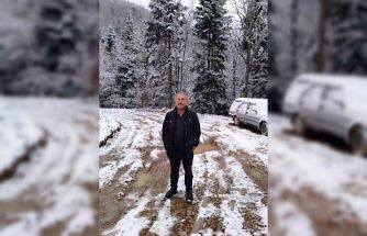 Devrilen ağacın altında kalan işçi hayatını kaybetti