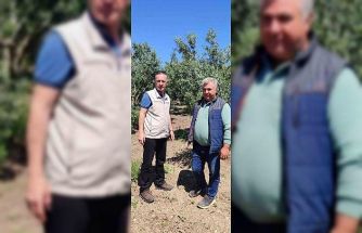 Didim’de zeytin üreticilerine zararlı uyarısı