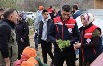 Dinar’da ‘Kekik Yetiştiriciliği Projesi’ devam ediyor