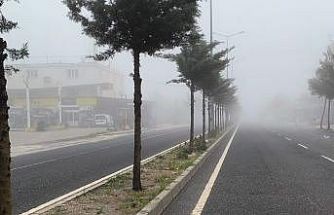 Diyarbakır’da sis etkili oldu