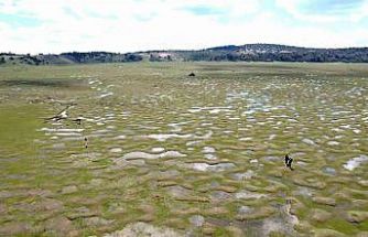 Doğanın sanata dönüştüğü nokta: Menderesler göz kamaştırdı
