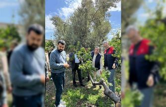 Dolu afeti sonrası hasar tespit çalışmalarına başlandı