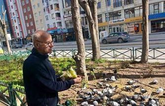 Dükkanının önüne gelen onlarca güvercini doyuruyor