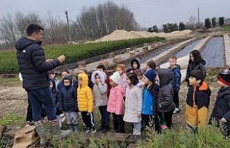 Düzce’ de minik eller büyük ormanlar oluşturmak için çalıştı