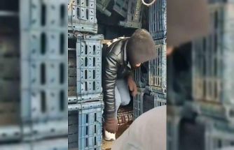 Düzce’de 7 düzensiz göçmen yakalandı