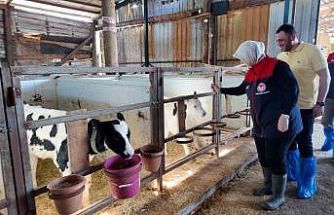 Düzce’de ari işletme sayısı artıyor