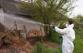 Düzce’de daha uçmadan bitirmek için mücadele başladı