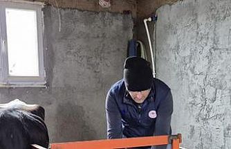 Düzce’de ekipler hayvan sağlığı için sahada