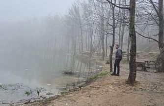 Düzce’de yasaklı avcılığa takip