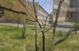 Edirne İlhami Ertem Anadolu Lisesi öğrencilerinden anlamlı etkinlik