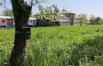 Edirne’de fotokapanlar yaban hayatını görüntülüyor