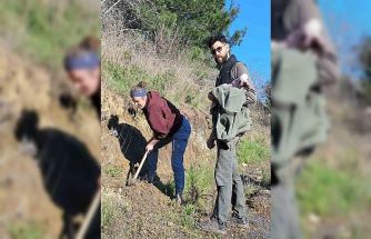 Edremit’te Kazdağı Bal Ormanına uluslararası ilgi